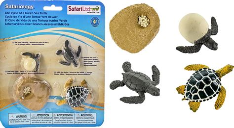 Buy Safari Ltd Life Cycle Of A Green Sea Turtle Online In India B006PPU7AM