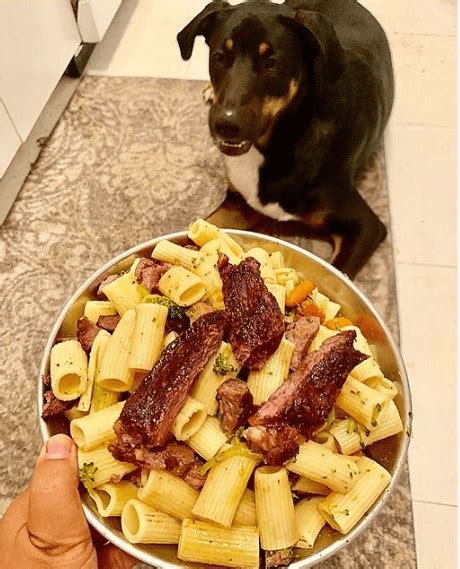 Beneficios y recetas de comidas caseras para perros - Erenovable.com