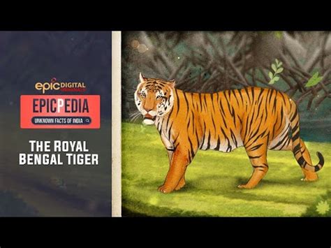 The Royal Bengal Tiger EPICPEDIA Unknown Facts Of India EP 4