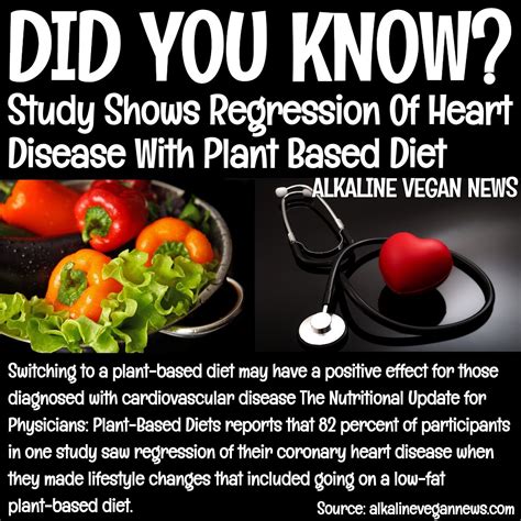 plant based diet supports heart health vegan news alkaline vegan diet support