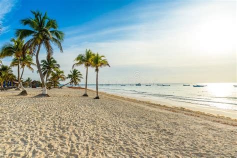 Paradise Beach Also Called Playa Paraiso At Sunrise Beautiful And Tropical Caribbean Coast Of