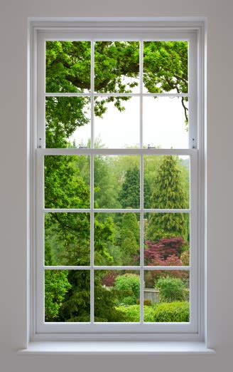 Windows Garden Pictures Download Free Images On Unsplash