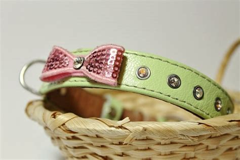 Lime Green Leather Dog Collar With Pink Bow Etsy Leather Dog