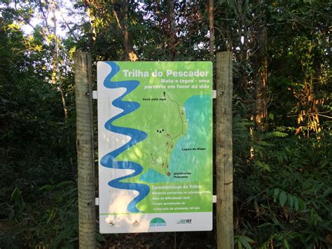 Parque Estadual Do Rio Doce O Que Fazer E Como Chegar Estevam Pelo Mundo
