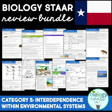 Released 2019 biology staar test for review purposes. Store | STAAR Biology Review Reporting Category 5