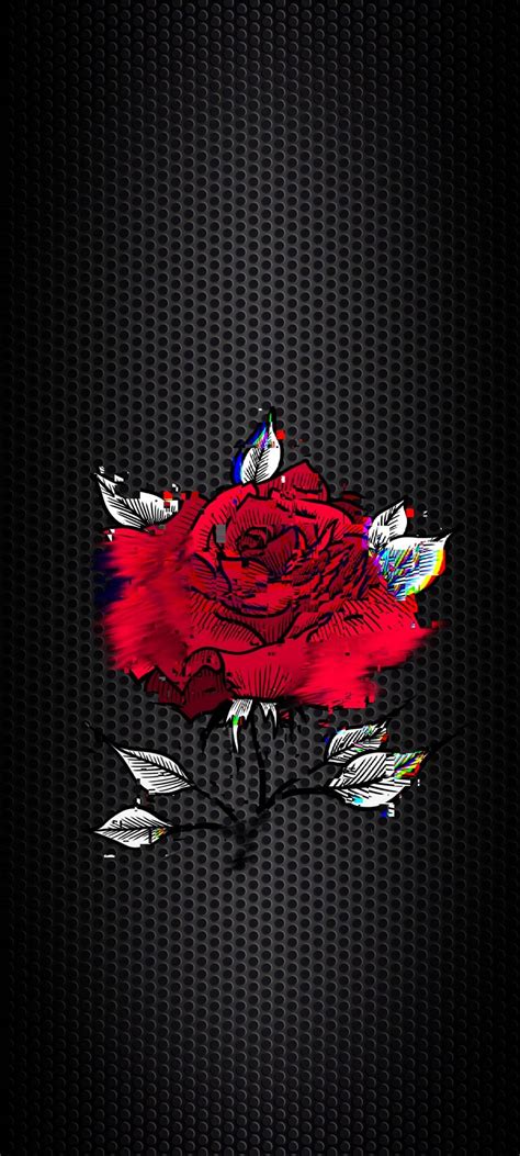 Top More Than 79 Black And Red Rose Wallpaper In Cdgdbentre