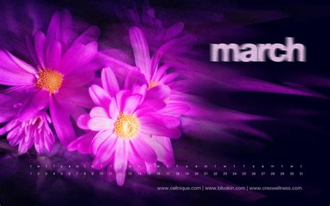 35 Spring Wallpapers For Desktop 1440x900 On Wallpapersafari