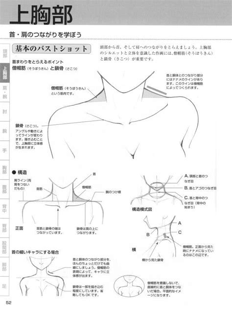 How To Draw Shoulders Collarbone And Neck Drawing
