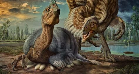 Scientists Discover New Chicken Like Dinosaur By Studying