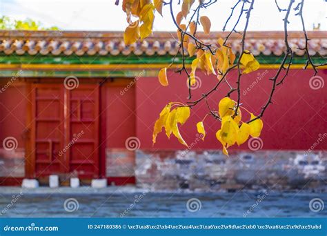The Forbidden City In Autumn Stock Photo Image Of Buildings Famous