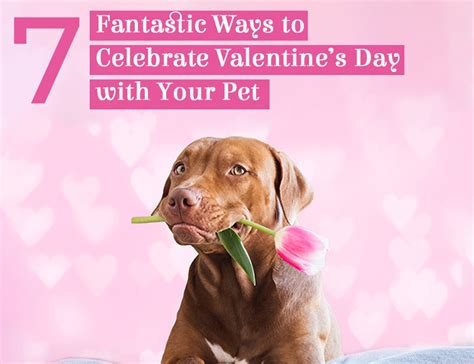 7 Fantastic Ways To Celebrate Valentines Day With Your Pet