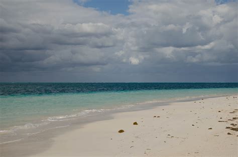 Cayo Levisa : Plages : Mer : Cayo Levisa : Province de Pinar del Río