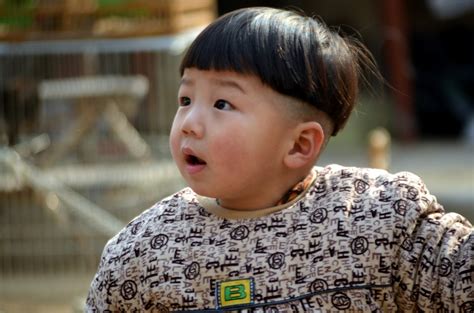 Chinese Toddler Free Stock Photo Public Domain Pictures
