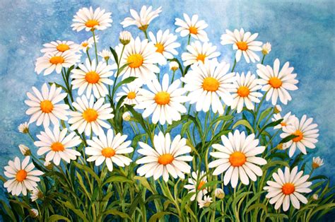 Daisies With Blue Background Flower Sketches Daisy Field Original