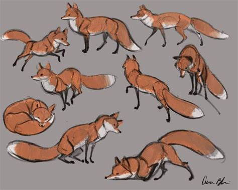 Cute Fox Drawing Reference This Tutorial Shows The Sketching And