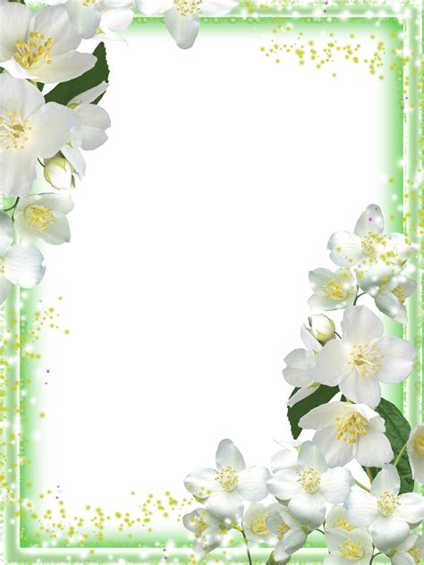 Flower Frame Border Transparent Idalias Salon