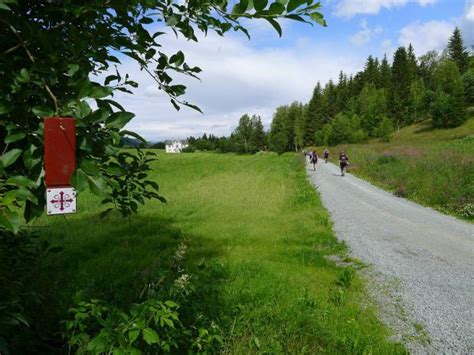 Vakantietips Voor De Pelgrimsroute Sint Olavsweg In Noorwegen Bergwijzer