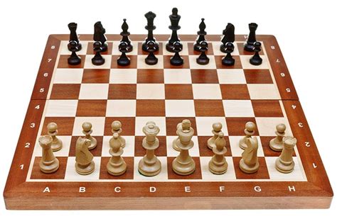 How To Play Chess A Step By Step Guide For Kids