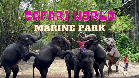 Safari World Marine Park Bangkok Thailand 🇹🇭 4k Youtube