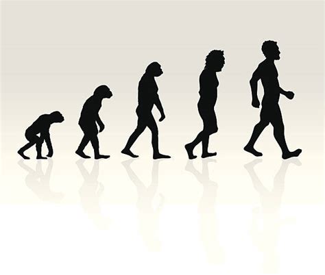 Silhouette Of Neanderthal Stock Photos Pictures And Royalty Free Images