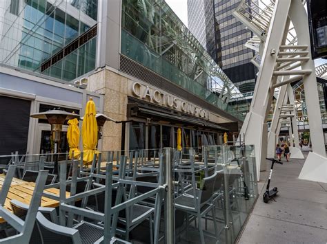 Six Cases Of Covid Linked To Downtown Cactus Club Cafe Calgary Herald