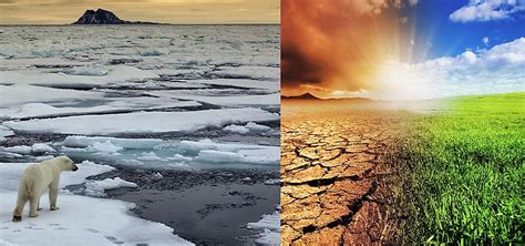 How Is Climate Change Affecting The Earth S Different Ecosystems Worldatlas