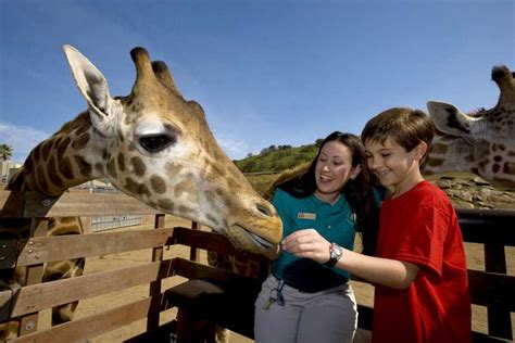San Diego San Diego Zoo Safari Park 1 Day Ticket Getyourguide