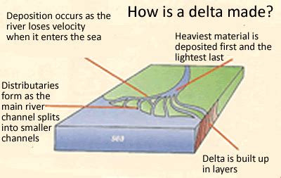 What does delta mean in geographic terms? Rivers - Revision - Wingate Geography