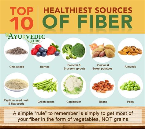 Top 10 Healthiest Sources Of Fiber High Fiber Foods Hot Sex Picture
