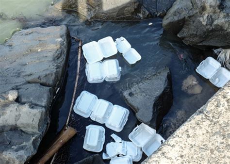 Also, recycled polystyrene cannot in most cases be used for products that contact food because of health concerns, even though the material is usually for example, the dart container corporation, the largest producer of polystyrene food containers, has four plants in the u.s. Recycling of waste takeout foam containers can create great economic efficiency - GREENMAX ...