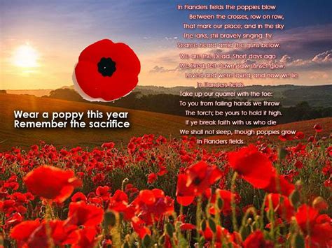 The Beautiful Poem Which Inspired Wearing A Poppy In Remembrance Of