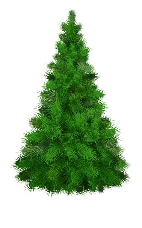 All images are transparent background and unlimited download. Tree PNG Images Transparent Free Download | PNGMart.com