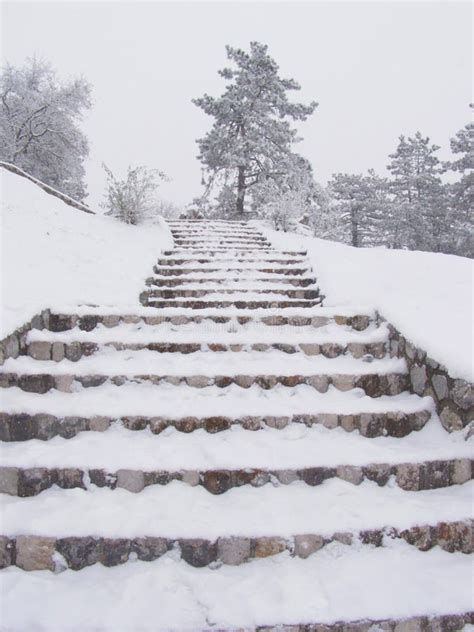 Snowy Steps Heavy Snowfall Stock Photo Image Of Calendar Climb 6203080