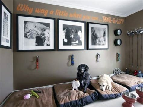 54 Inspiring And Creative Dog Room Ideas For A Happy Pup