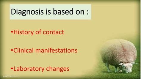 Diagnosis Of Brucellosis Ppt