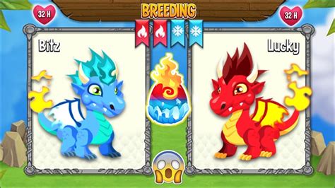 New Breeding Cool Fire Dragon And Flame Dragon Dragon City 2020 😍