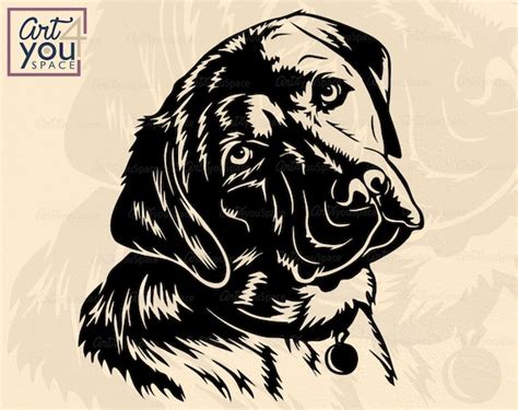 Labrador Svg Dog Svg Cricut Lab Face Clipart Head Download - Etsy
