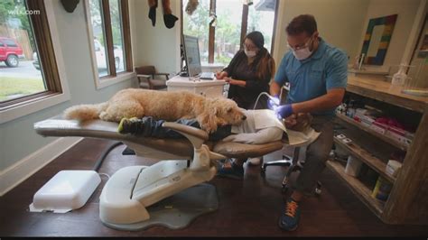 South Carolina Dental Office Provides Therapy Dog For Patients