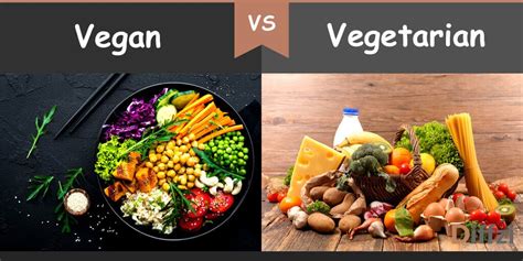 Is A Vegan Diet Really Healthier Than Vegetarian Healthy Sandwich For