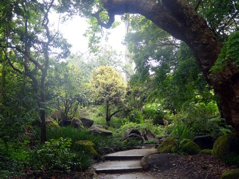 In the spring, the san francisco botanical gardens come to life. San Francisco, CA. Golden Gate Park. The San Francisco ...