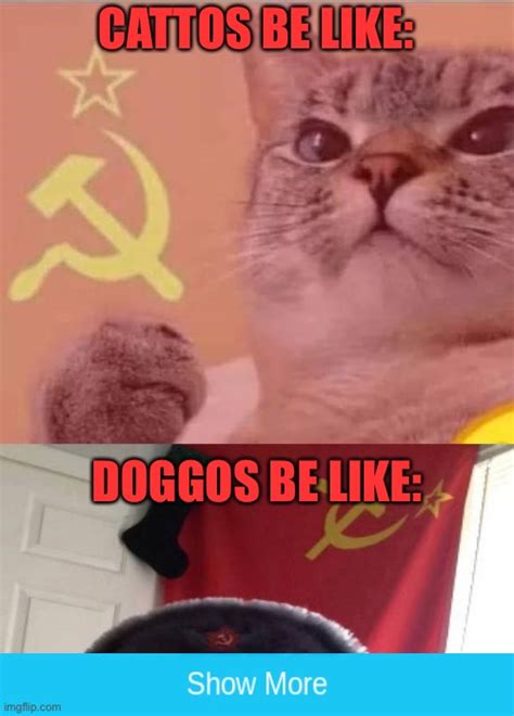 Image Tagged In Russian Dogecomrade Catto Imgflip