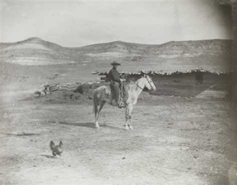 Thomas Eakins Cowboy In Dark Shirt On Dappled Horse 1887 Pafa