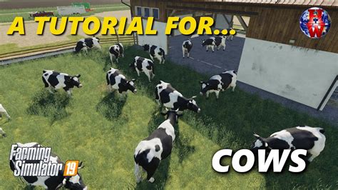 Cows Farming Simulator 19 Fs19 Cows Tutorial Youtube