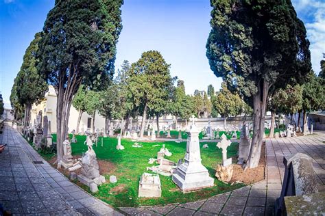 Cimitero Cimitero Monumentale Di Bonaria Cagliari