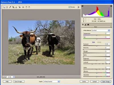 Que faire avec adobe photoshop cc? Adobe photoshop 7.0 free download pc | free download pc ...