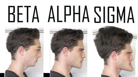 Are You A Beta An Alpha Or A Sigma Male YouTube