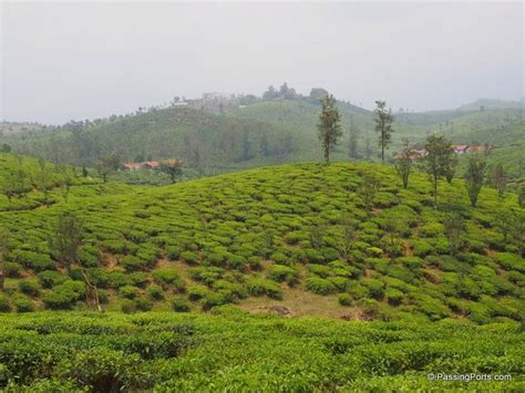 Valparai A Less Known Hill Station In Tamil Nadu Passing Ports