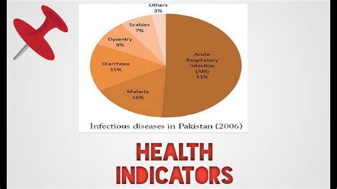 Health Indicators In Community Health Nursing Urdu Hindi Youtube