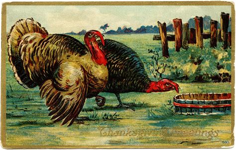 Vintage Thanksgiving Postcard Vintage Thanksgiving Turkey Old