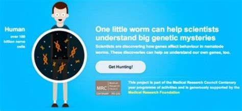 Help Scientists Solve Big Genetic Mysteries Of The Brain Click On